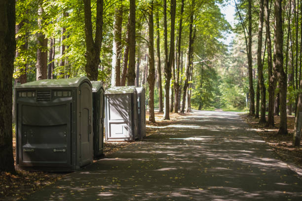 Best Deluxe Portable Toilet Rental in Mesa Del Caballo, AZ